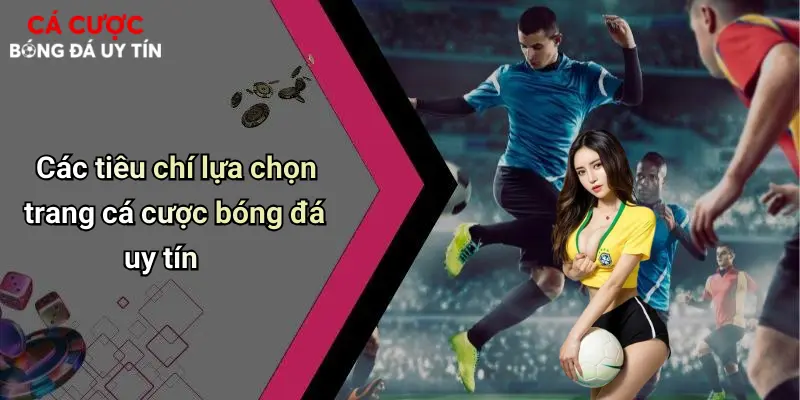Các tiêu chí lựa chọn trang cá cược bóng đá uy tín