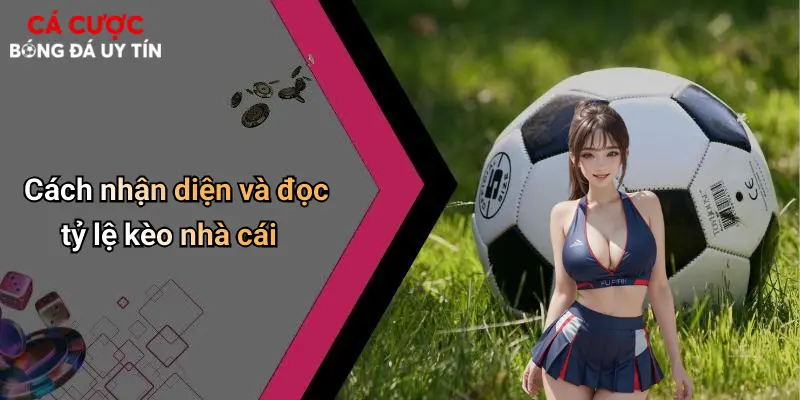 Cách nhận diện và đọc tỷ lệ kèo nhà cái