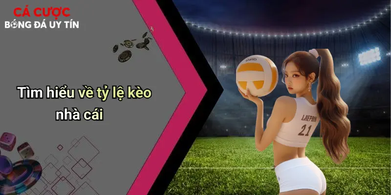 Tìm hiểu về tỷ lệ kèo nhà cái