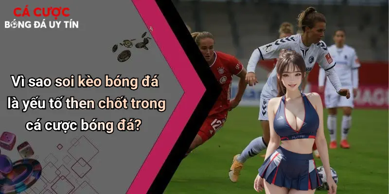 Vì sao soi kèo bóng đá là yếu tố then chốt trong cá cược bóng đá?