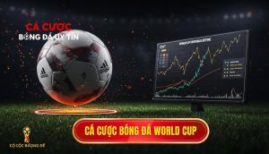 cá cược bóng đá World Cup