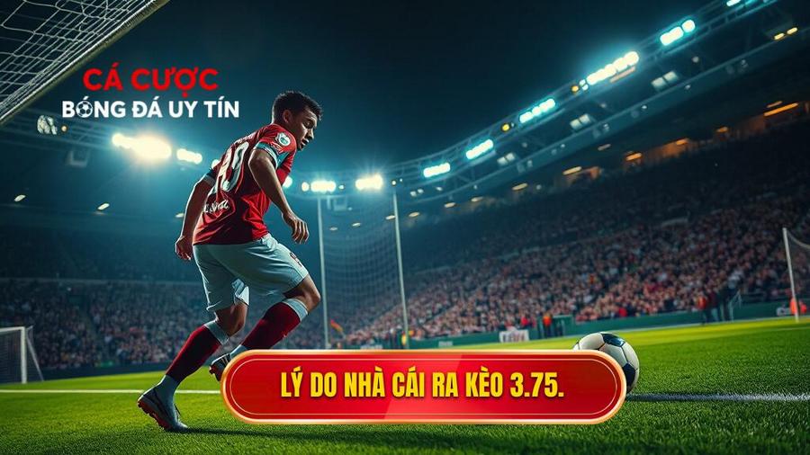Tại sao nhà cái lại đưa ra kèo tài xỉu 3.75 hiệp 2?