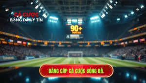 Đẳng cấp cá cược bóng đá.