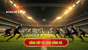 Đẳng cấp cá cược bóng đá.
