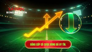 Đẳng cấp cá cược bóng đá uy tín.